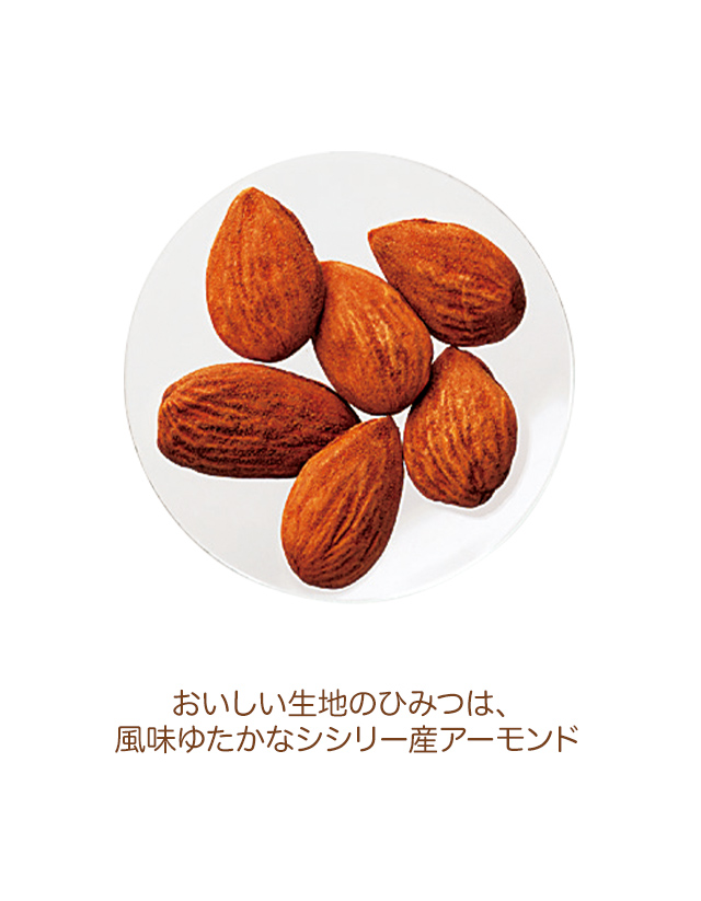 �����������ϤΤҤߤĤϡ���̣�椿���ʥ����꡼����������