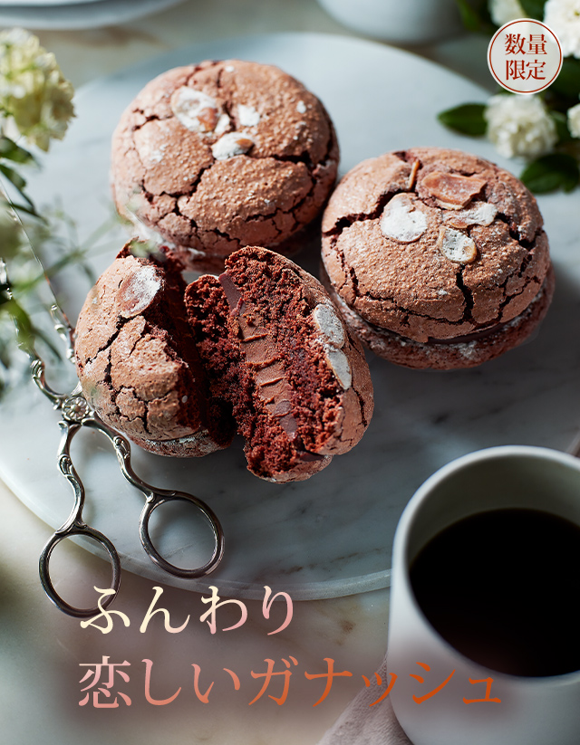 ���󥯥ȡ�����󡧤դ������������ʥå���ڿ��̸����