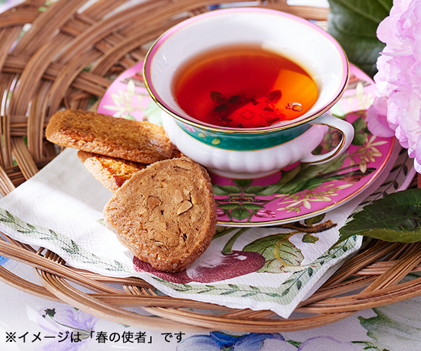 �����᡼���ϡֽդλȼԡפǤ�