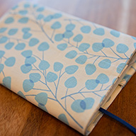 �֥å����С��ʥ꡼�ա�