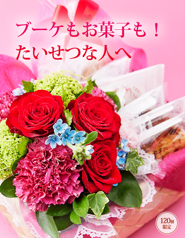 ����������2026���֡����⤪�ۻҤ⡪�������Ĥʿͤء�120�ĸ����