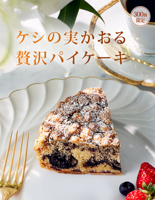 �����μ¥֥å��������إ󡧥����μ¤����������ѥ���������300�ĸ����