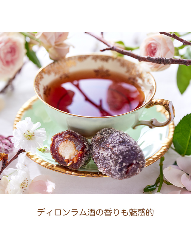 �ǥ��������ι���̥��Ū
