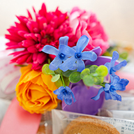 �ᥬ���ץ�ڥ�