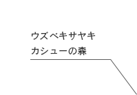 �����٥����䥭 �����塼�ο�