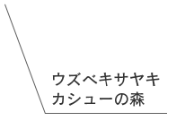 �����٥����䥭 �����塼�ο�