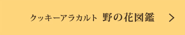 ���å������饫��� ��βֿ޴�