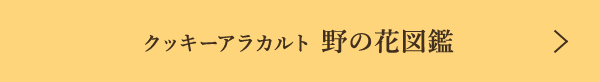 ���å������饫��� ��βֿ޴�