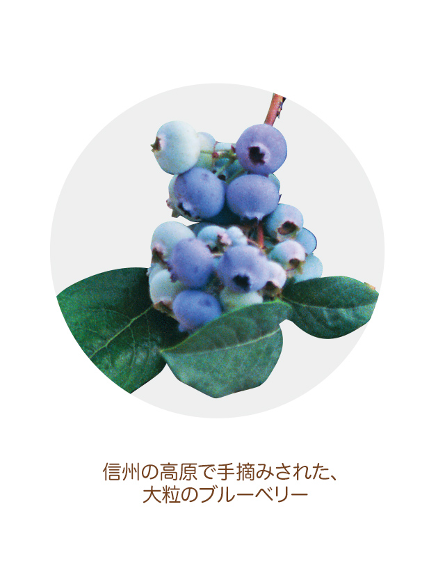 �����ι⸶�Ǽ�Ŧ�ߤ��줿����γ�Υ֥롼�٥꡼