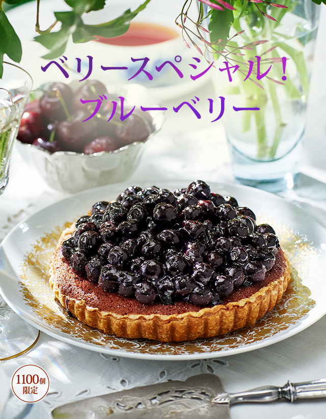 �֥롼�٥꡼�ѥ����٥꡼���ڥ����֥롼�٥꡼��1,100�ĸ����