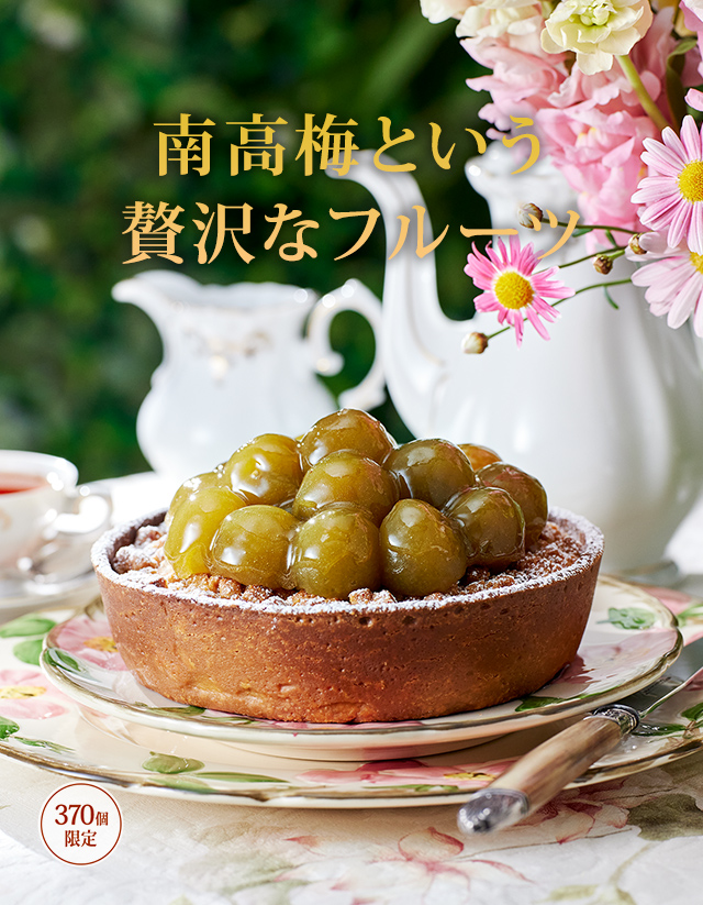 ����ߤΥ���ȡ�����ߤȤ��������ʥե롼�ġ�370�ĸ����