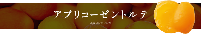 ���ץꥳ������ȥ�� Aprikosen Torte