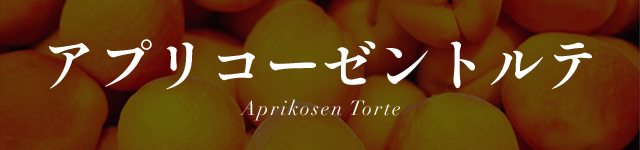 ���ץꥳ������ȥ�� Aprikosen Torte