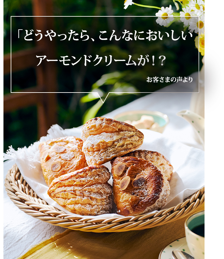 �֤ɤ���ä��顢����ʤˤ��������������ɥ��꡼�ब�����פ��Ҥ��ޤ������