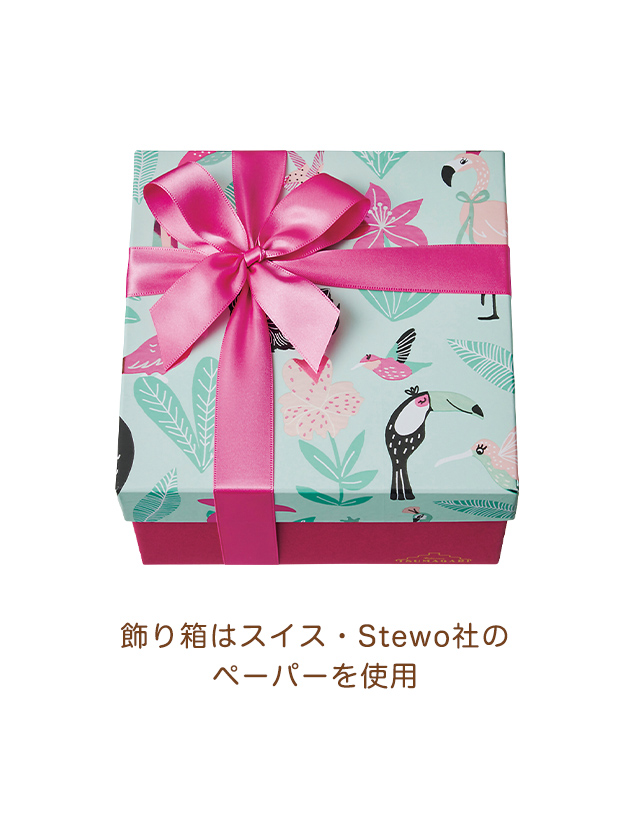 ����Ȣ�ϥ�������Stewo�ҤΥڡ��ѡ������