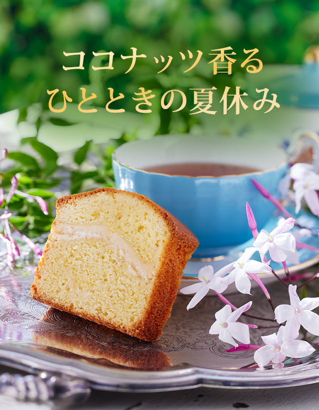 �����ʥåĥ��ѥ˥å��塧�����ʥåĹ��ҤȤȤ��βƵ٤�