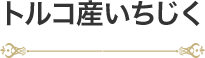 �ȥ륳����������