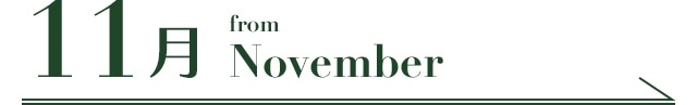 11月 from November