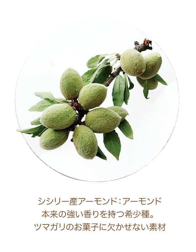 �����꡼���������ɡ�������������ζ���������Ĵ�����ĥޥ���Τ��ۻҤ˷礫���ʤ��Ǻ�