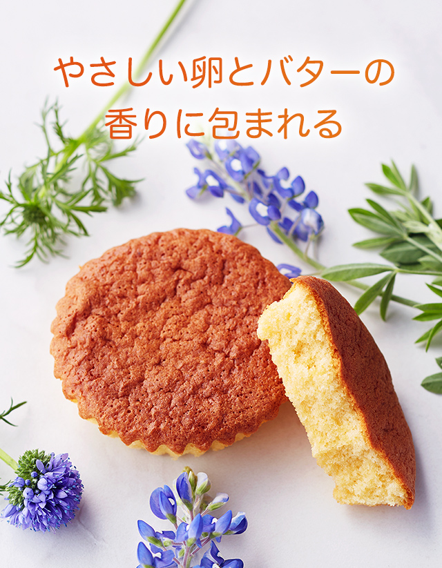 マドレーヌ「じゅくまえに」5個入り：ケーキハウス・ツマガリ通販サイト
