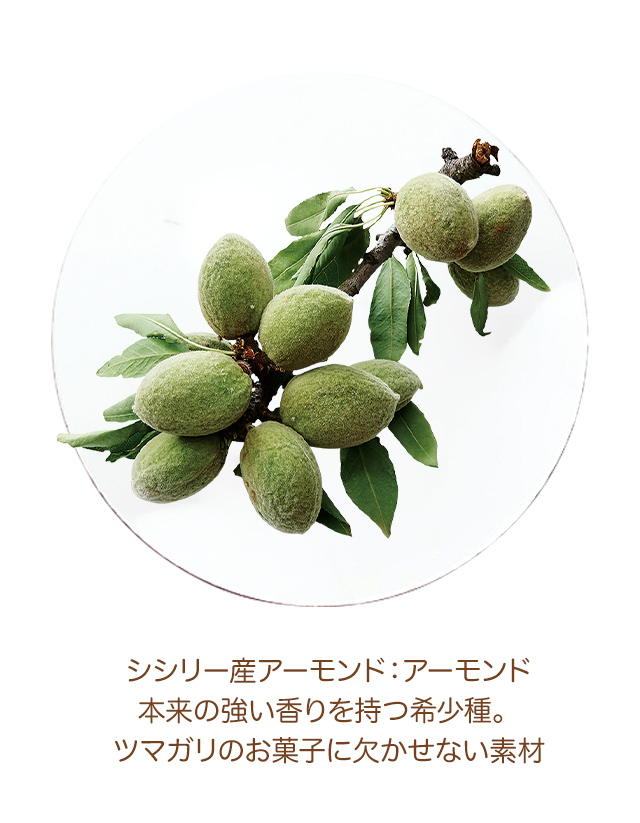 ������ ���ʥ��åȡξƲۻҡ����å����ͤ��碌��SAA��SAB�ˡ�