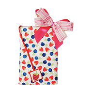 �֥å����С��ʥե졼����