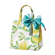 ����ɥ��