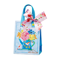 �ڡ��ѡ��Хå��ʥ���������