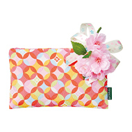 ������ݡ���